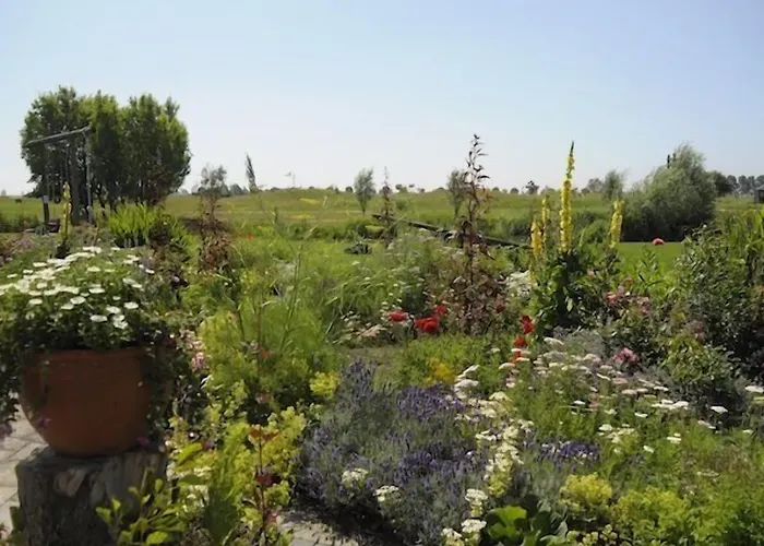 De Sfeerstal Gasthuis Nieuwveen